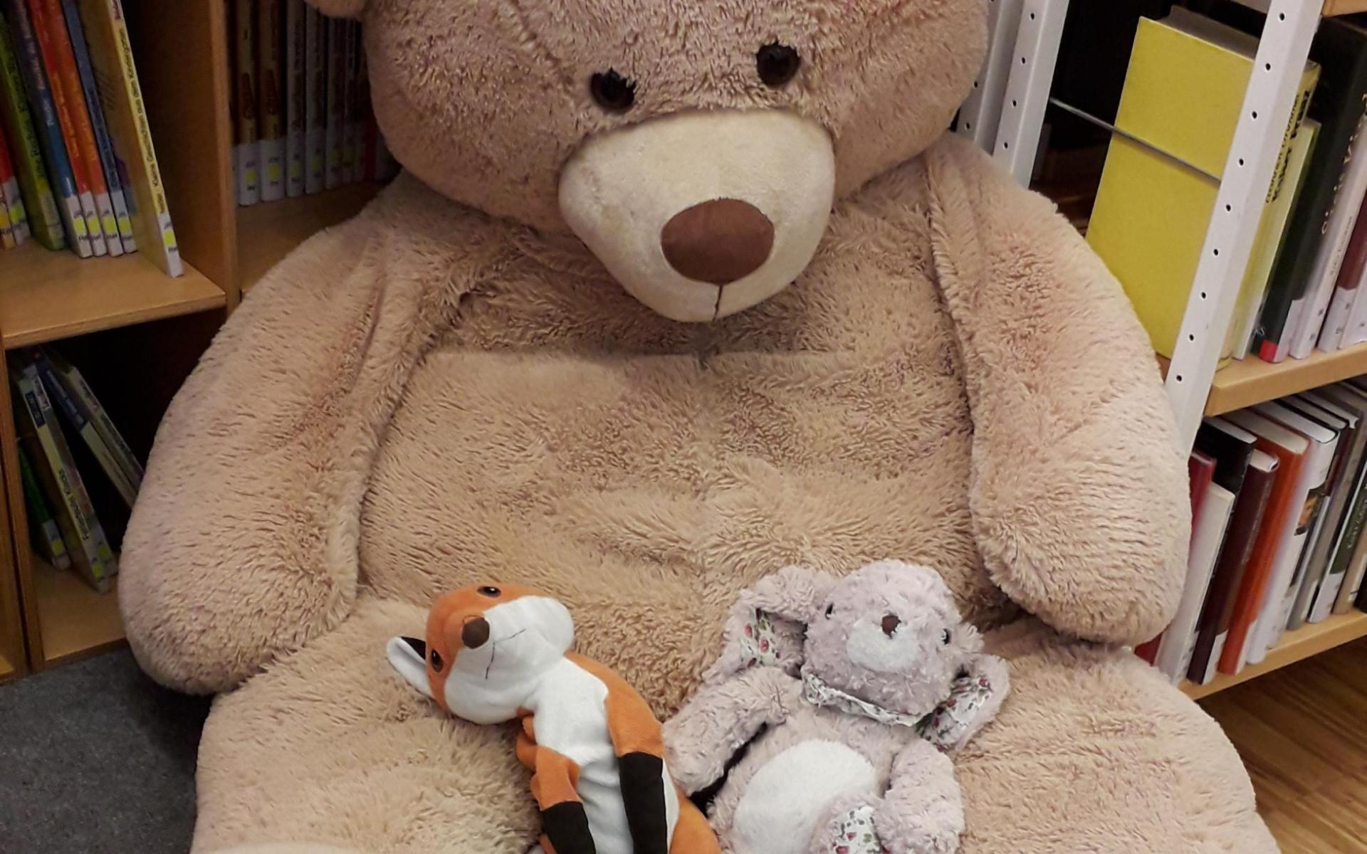 Plüschbär sitzt vor Bücherregal